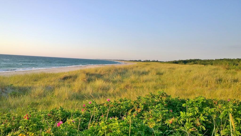 Ostsee Ferienappartement Dierhagen-Strand Esterno foto