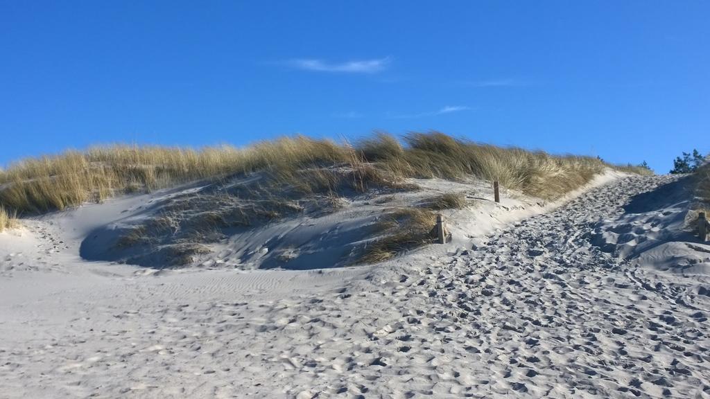 Ostsee Ferienappartement Dierhagen-Strand Esterno foto