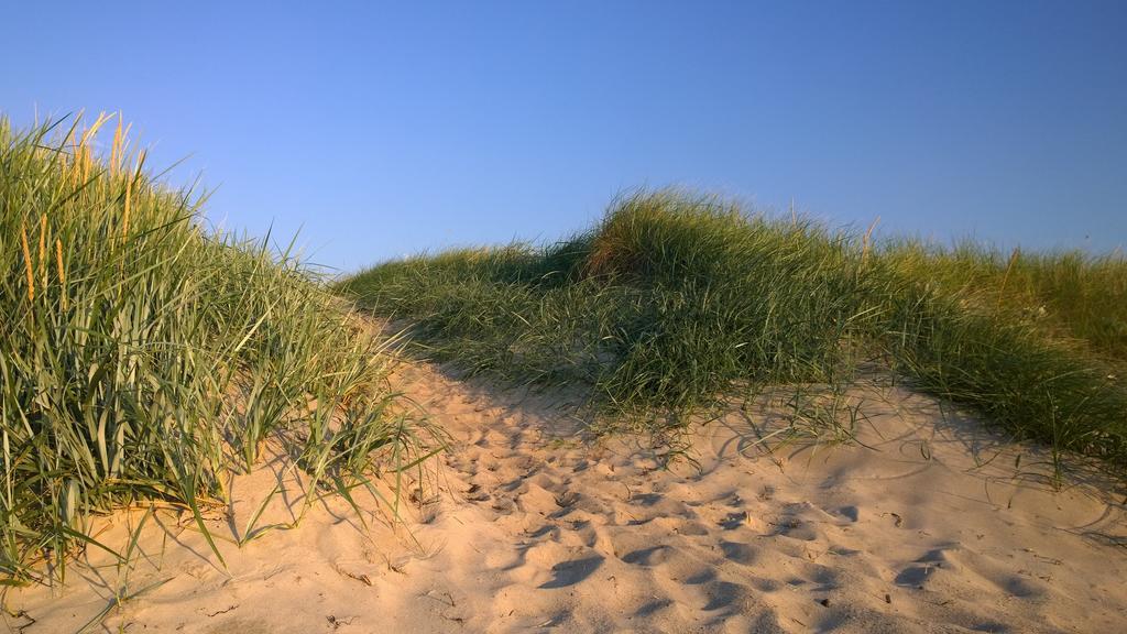 Ostsee Ferienappartement Dierhagen-Strand Esterno foto